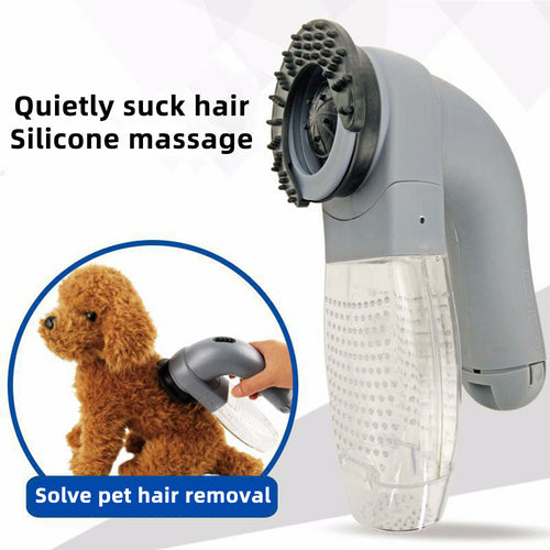 Electric portable pet hair removal and massage brush