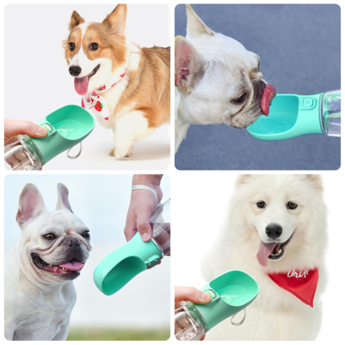 Portable Dog Water Bottle – Leak-Resistant Travel Feeder