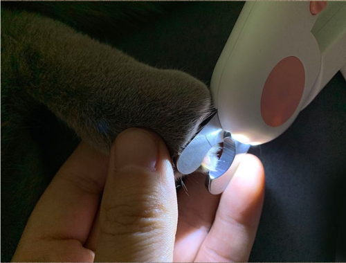 LED Pet Nail Clippers For Cats And Small Dogs