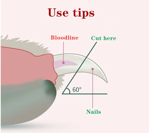 LED Pet Nail Clippers For Cats And Small Dogs