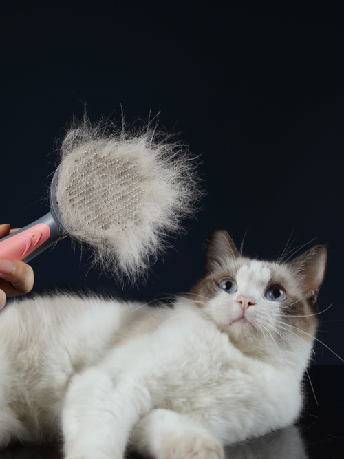 Self-Cleaning Pet Grooming Brush for Cats and Dogs