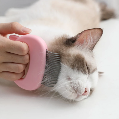 Cat Grooming Massage Brush – Gentle Deshedding Comb