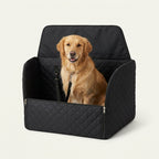 RoadNest Halo Seat installed in vehicle backseat with dog